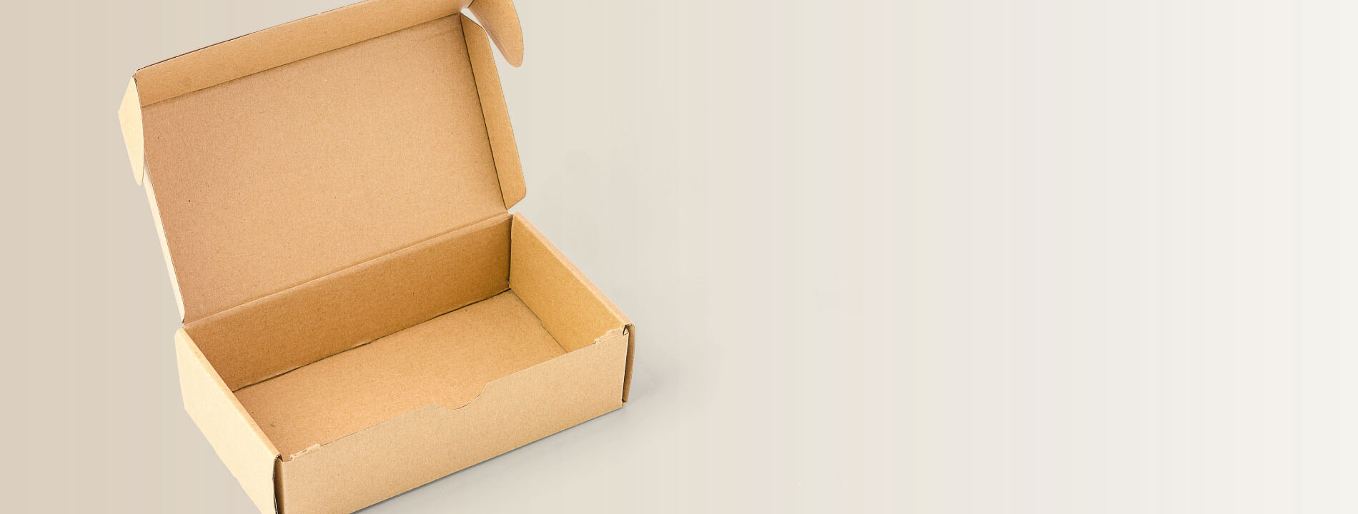 Caja de Cartón para Envíos